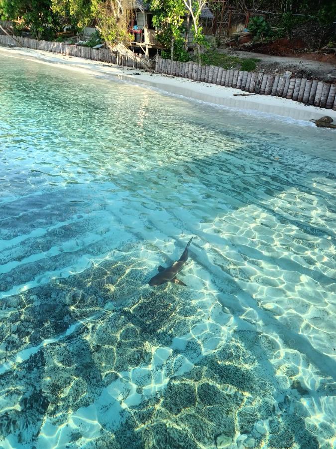 Warahnus Dive Homestay Kri Dış mekan fotoğraf